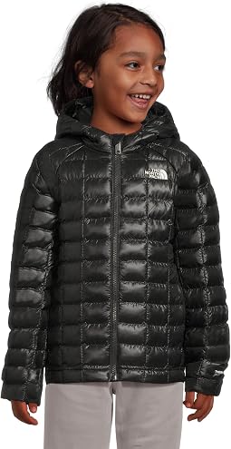 ThermoBall Hooded Jacket (Toddler)