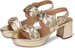 Camea Aerosoles