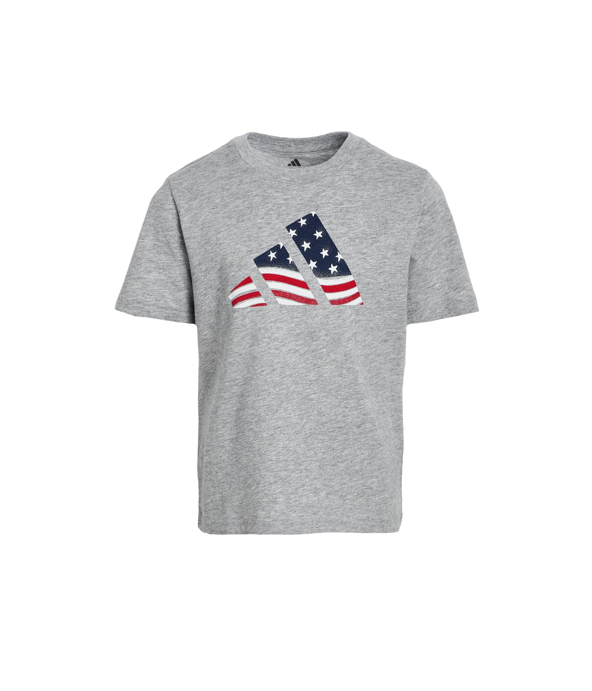 Usa Flag Logo Tee (Toddler/Little Kids)