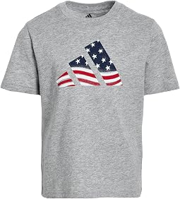 Usa Flag Logo Tee (Toddler/Little Kids)