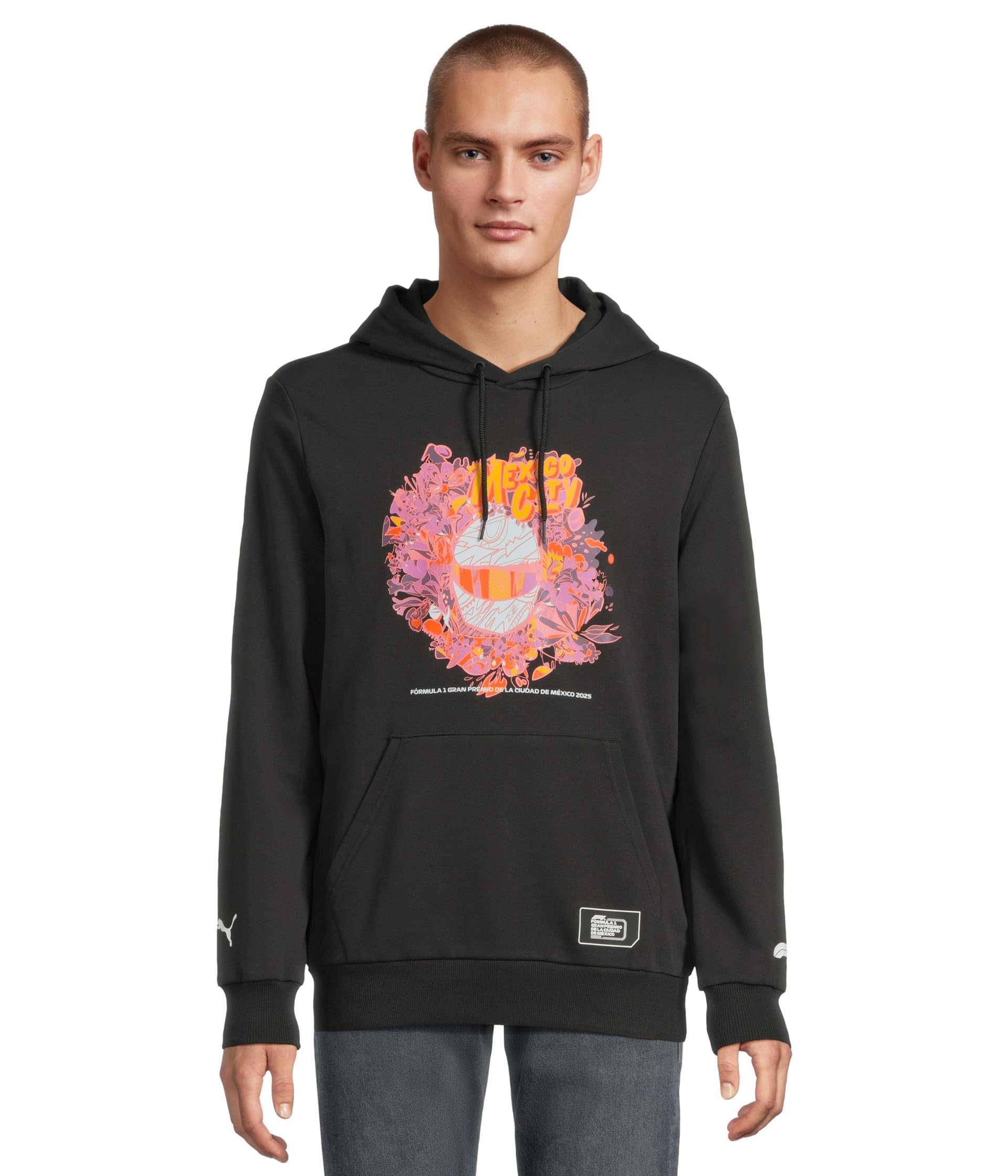Formula 1 Graphic Hoodie