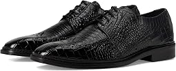 Travato Wingtip Lace-Up