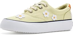 CVO Platform (Little Kid/Big Kid)