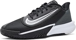 Nike кроссовки Basketball Precision 7