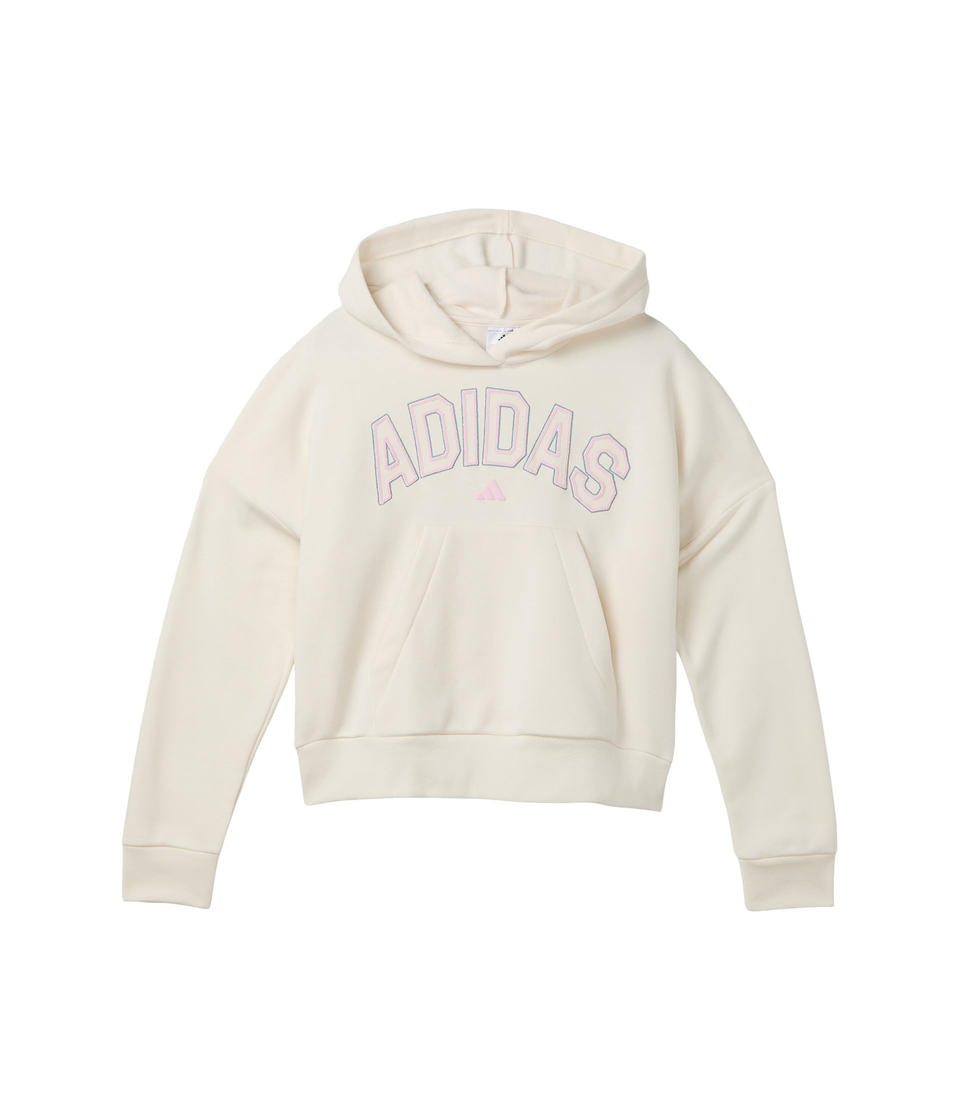 Graphics Fleece Hooded Pullover (Big Kid)