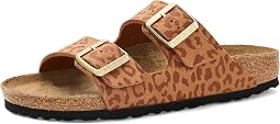 Arizona Leopard