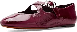The Remy Crisscross Mary Jane Flat