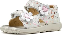 August 3 (Toddler)