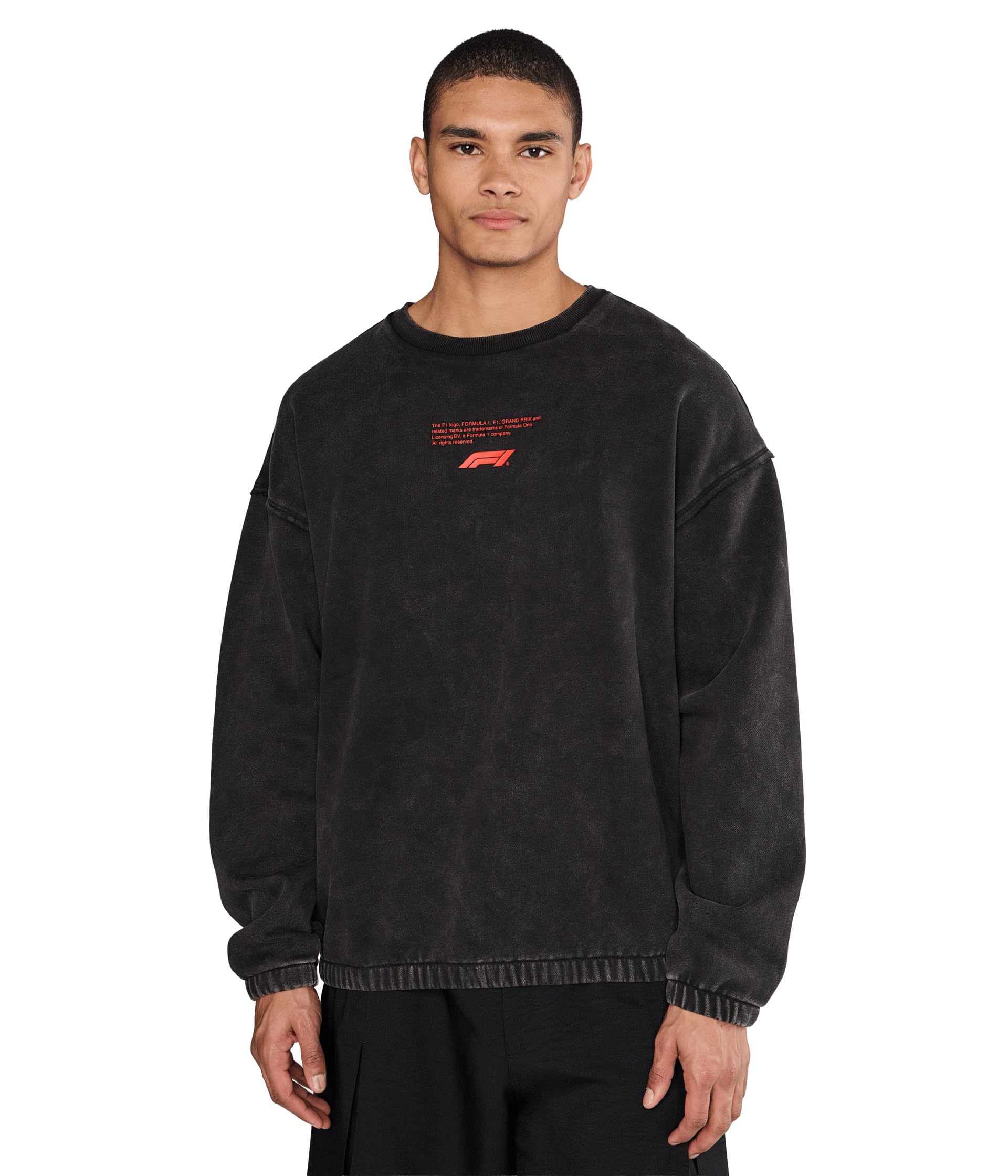 Formula 1 Sportswear Crew Fleece Sweatshirt
