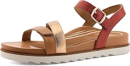 Terracotta Multi