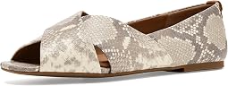 Taupe Snake
