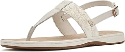 Sperry Sun Fish