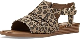 Sand Leopard