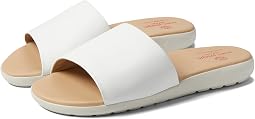 Elisabeth Slides