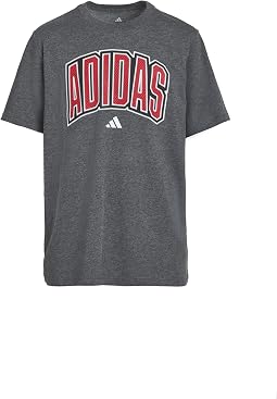 Футболка Collegiate Arch Heather (Big Kid)