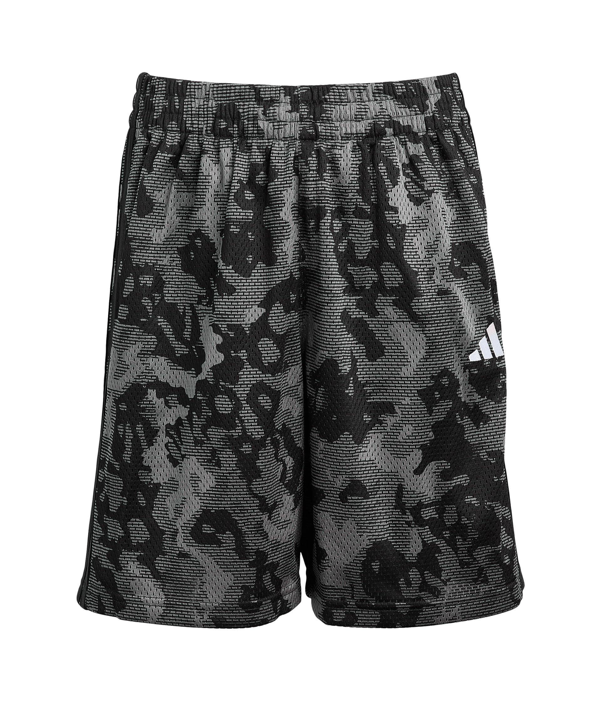 Aop Camo Shorts (Big Kid)