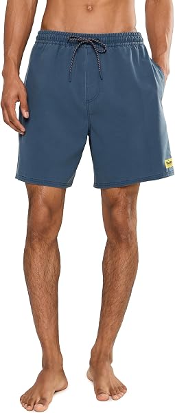 Pacifico Talavera Volley Мужские шорты Quiksilver