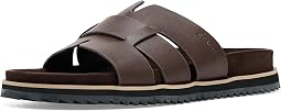 Medium Brown