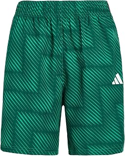 Aop World Soccer Shorts (Big Kid)