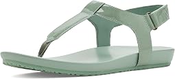 Iceberg Green Patent