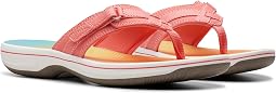 Multicolor Synthetic
