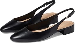 Cassius