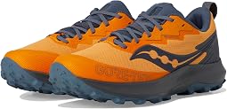 Peregrine 14 GTX