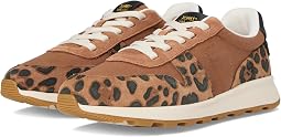 Brown Sugar Leopard