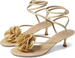Belize 50 Sandal