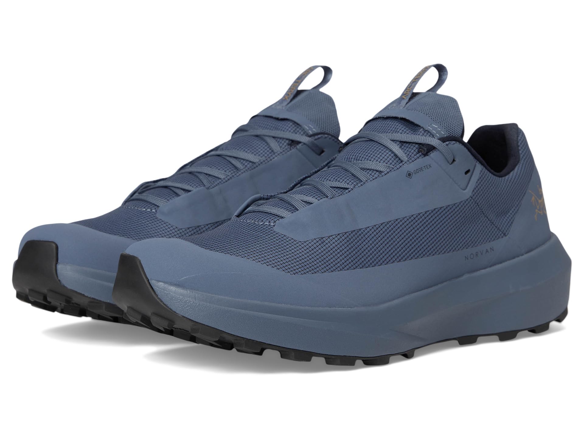 Кроссовки Norvan LD 4 GTX