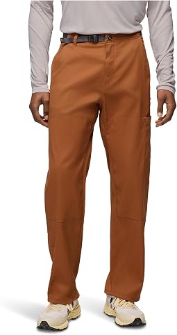 Stretch Zion Carpenter Pants
