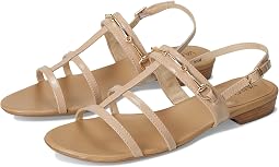 Light Taupe Patent