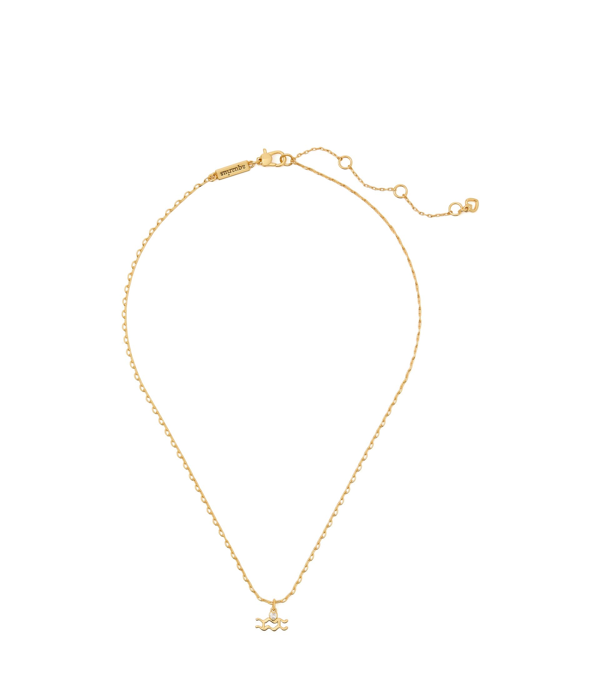 Подвеска What'S Your Sign Aquarius Mini
