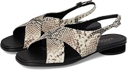 Dark Clay Snake Print