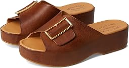 Brown Terra