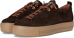 Faye Sneakers