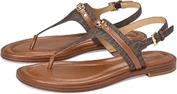 Brown/Luggage