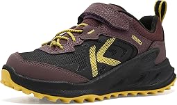 Huckleberry/Black