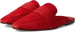 Salsa Suede