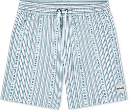 Mini Vacay Stripe Pull On Swim Trunk (Little Kid/Big Kid)