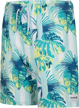 Cabana Stripe Pull On Swim Trunk (Little Kid)