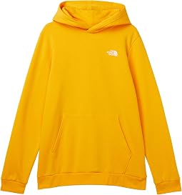 Evolution EMB Pullover Hoodie (Little Kid/Big Kid)