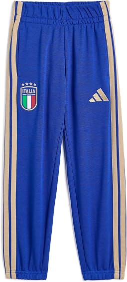 Брюки FIGC Italy Alphaskin (маленький/большой ребенок)