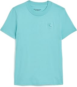 Детская футболка abercrombie kids Essential Tee