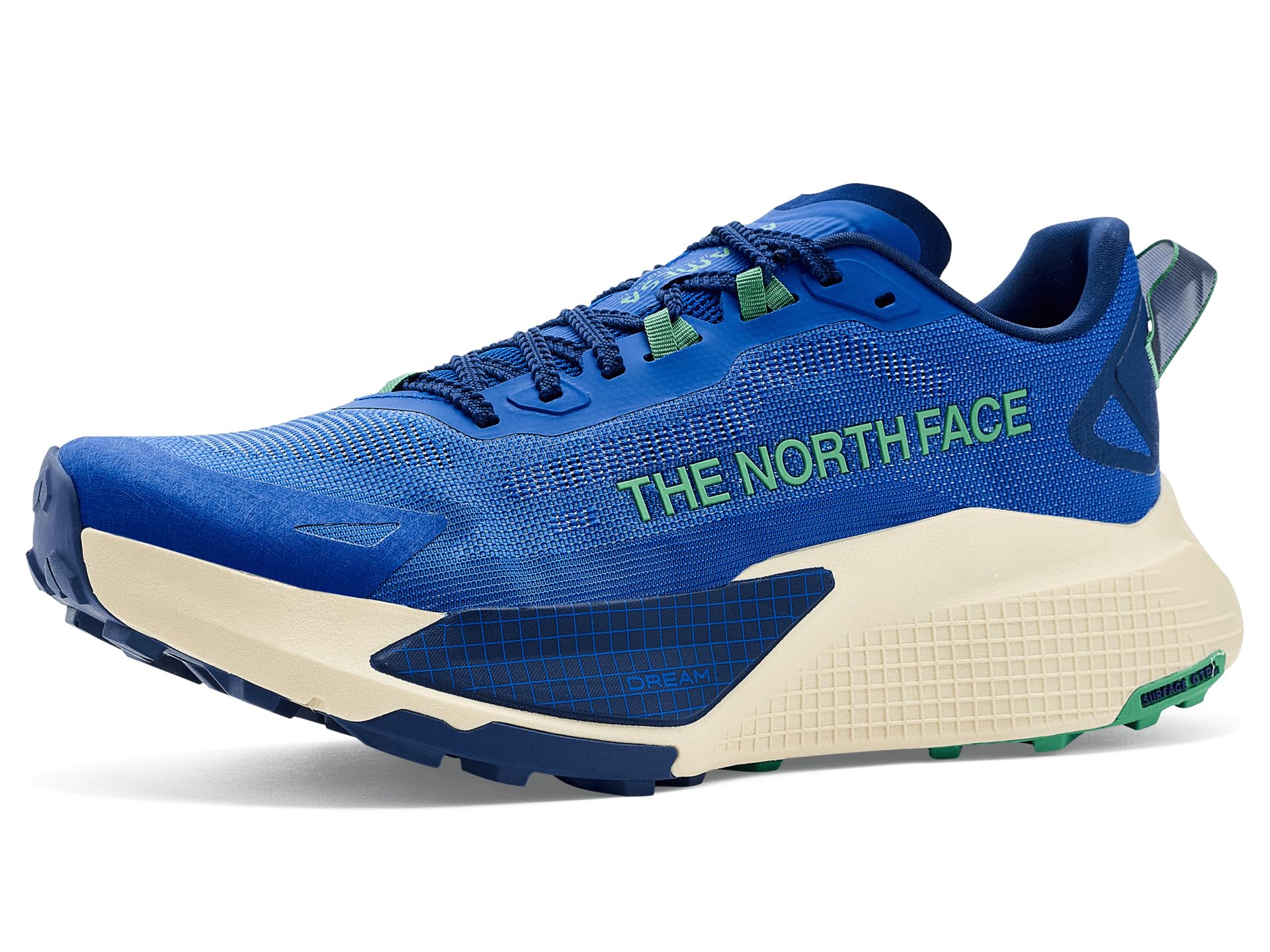 Кроссовки The North Face Altamesa 500 V2
