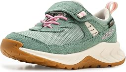 Lily Pad/Cashmere Rose
