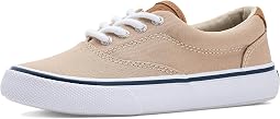 Irish Cream Canvas