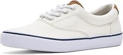 White Canvas