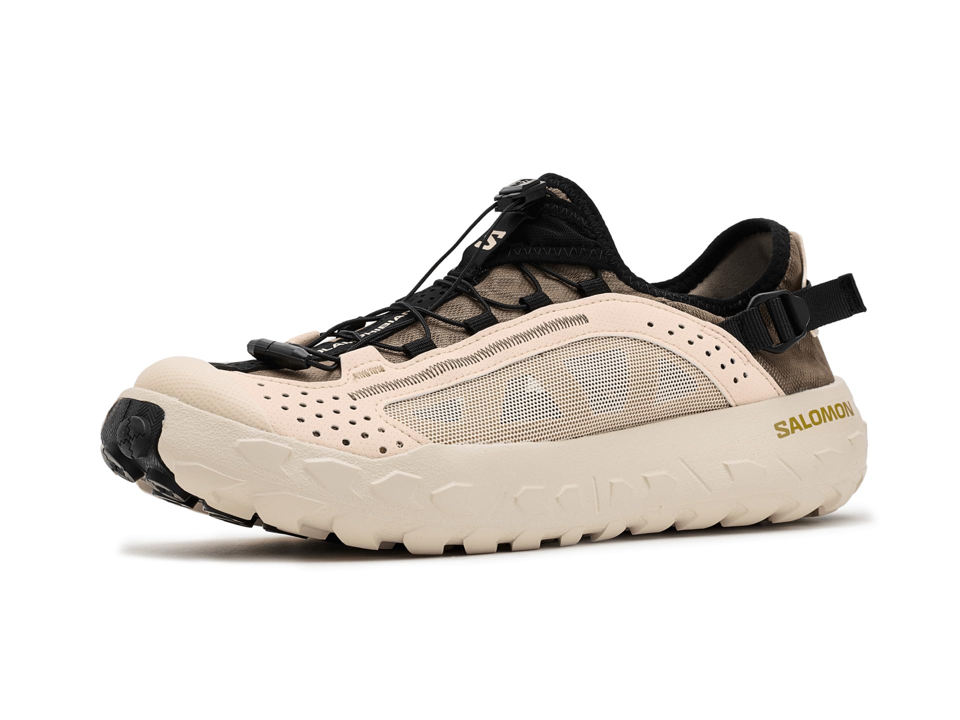 Solamphibian