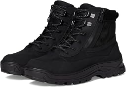Torsion Ig